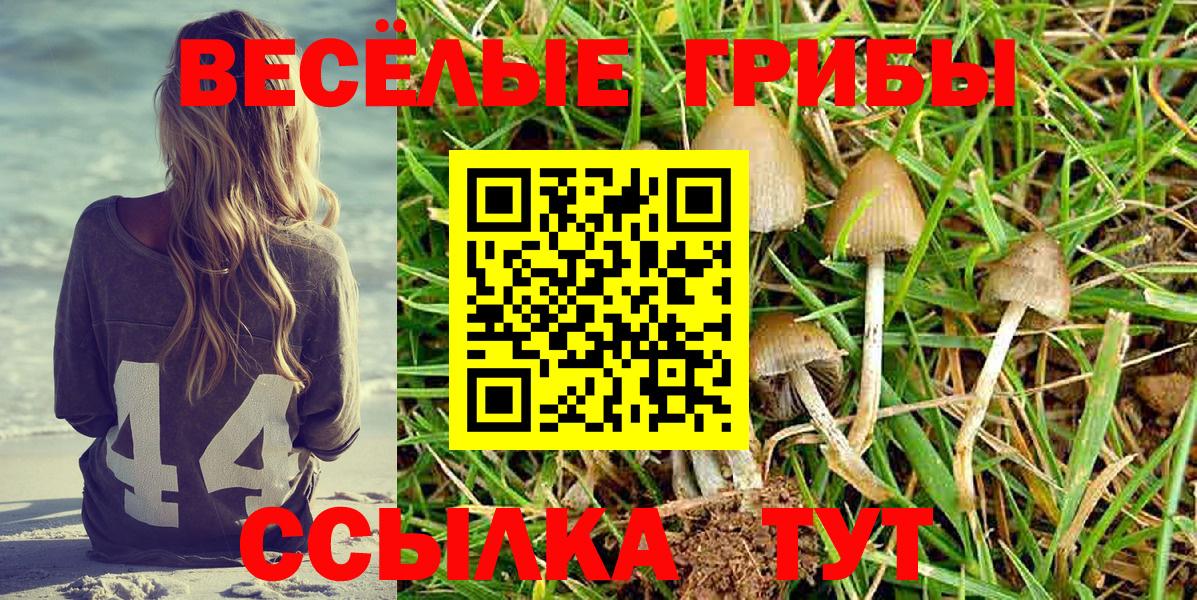 Галлюциногенные грибы GOLDEN TEACHER  Псилоцибиновые грибы прущие грибы  Обь  Вход с VPN 